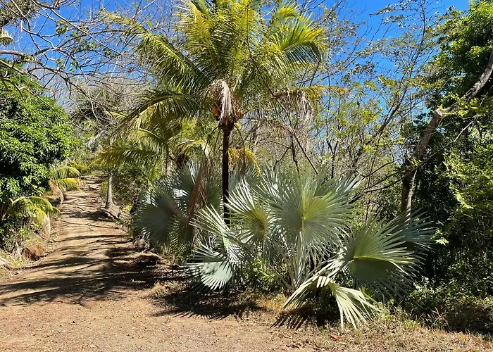Campo de lujo Amaj Eco *