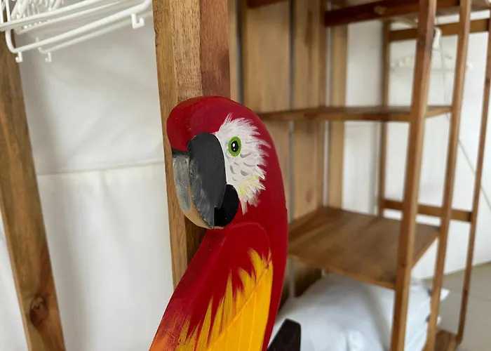 Amaj Eco Tente de luxe
